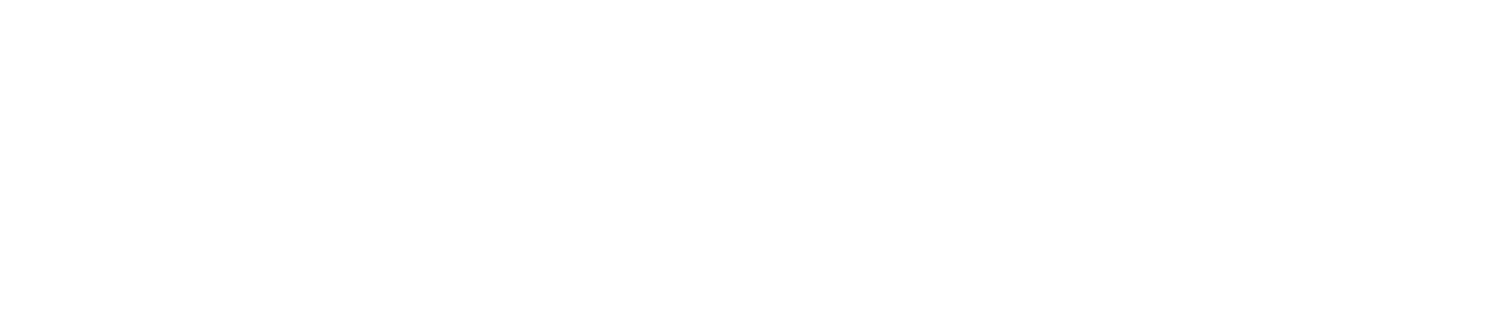 Pohlmann logo
